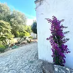 Casa de Férias Casa Rina Selva Di Fasano