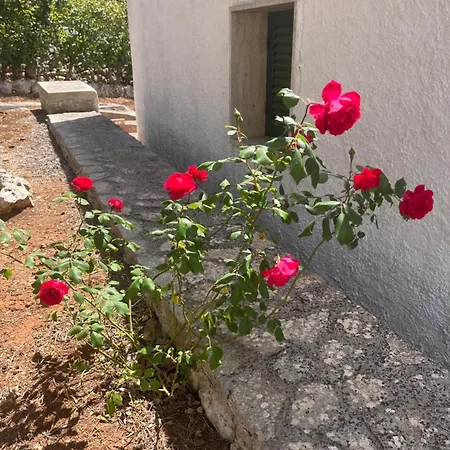 Casa Rina *