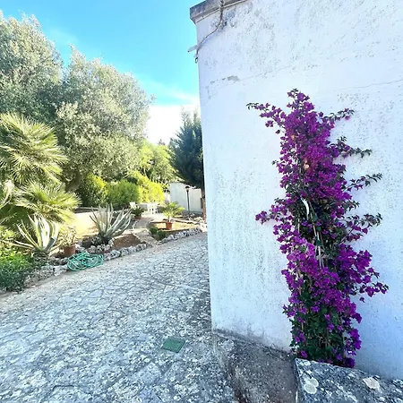 Holiday home Casa Rina Selva Di Fasano